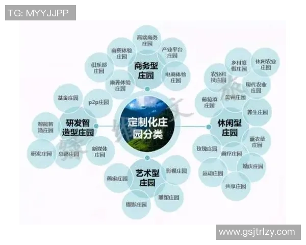 西安篮球队运营模式解析与发展策略探讨